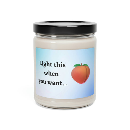 Light This When You Want Ass Scented Soy Candle, 9oz