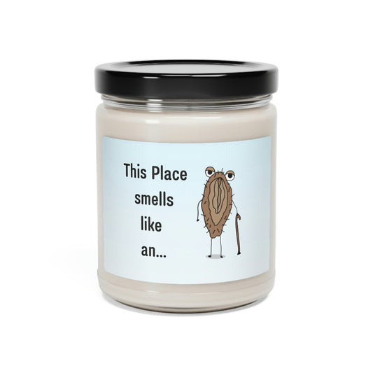 This Place Smells Like An Old C* Scented Soy Candle, 9oz